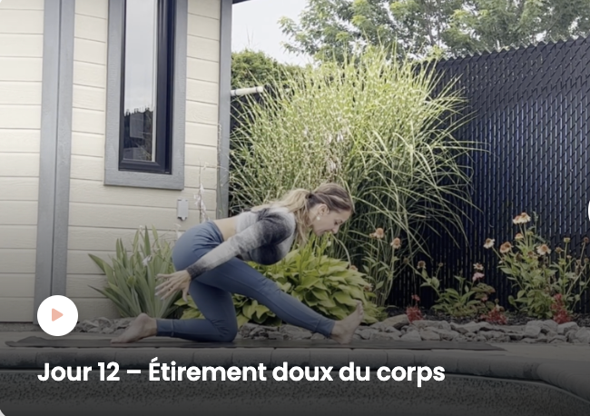 Capture d’écran, le 2024-05-25 à 15.41.37